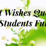 Best Wishes Quotes for Students Future