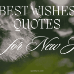 Best Wishes Quotes for New Job