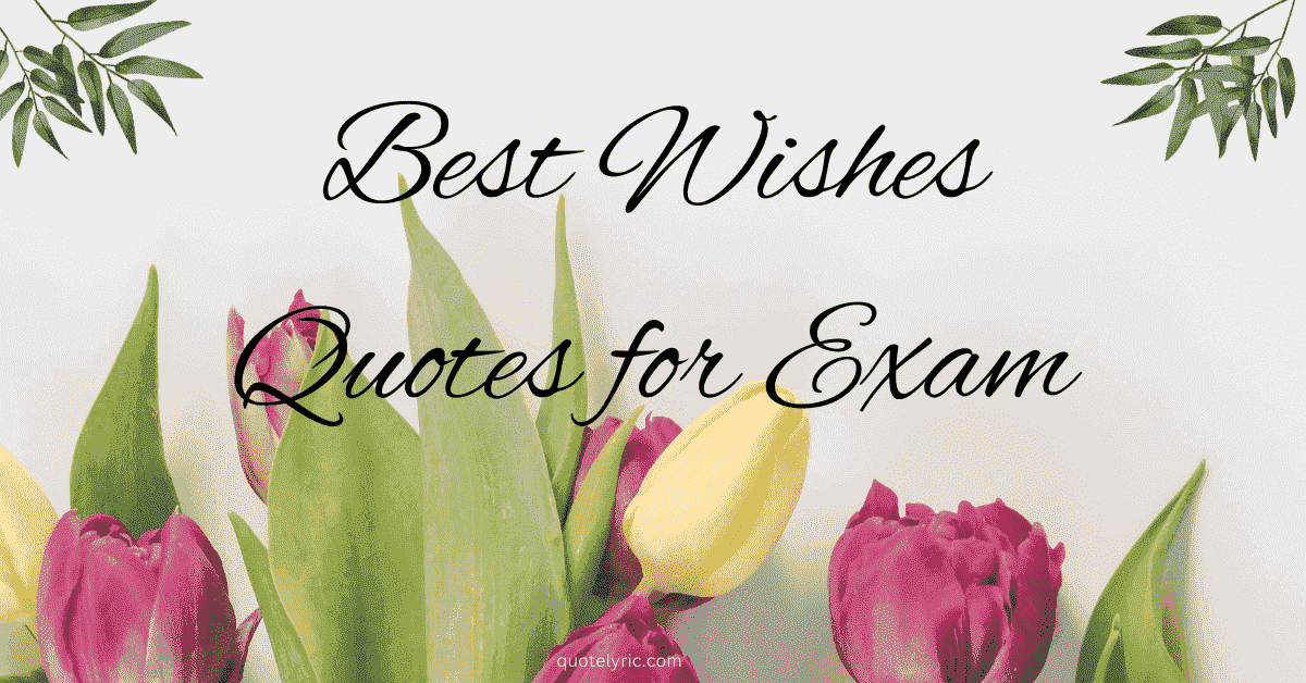 Best Wishes Quotes for Exam