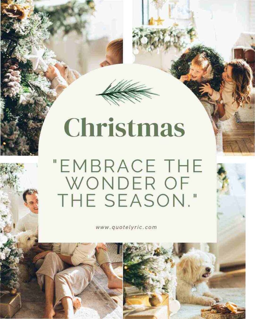Short Christmas Quotes - "Embrace the wonder of the season." www.quotelyric.com