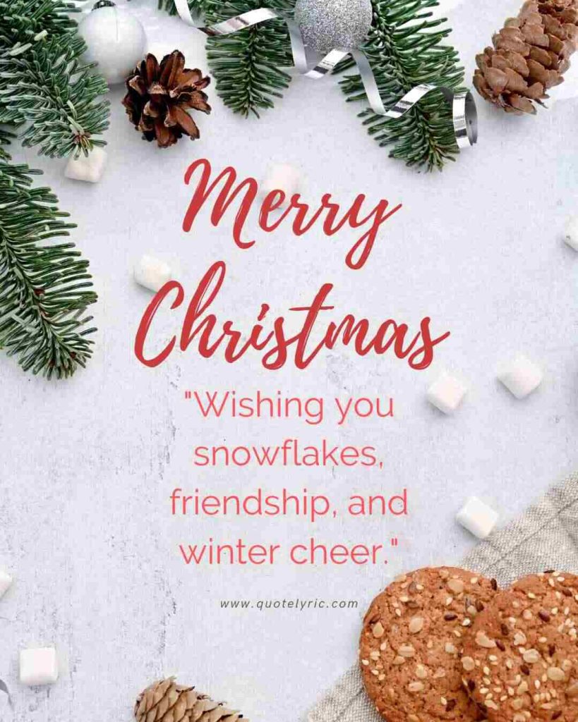 Short Christmas Quotes - "Wishing you snowflakes, friendship, and winter cheer." www.quotelyric.com