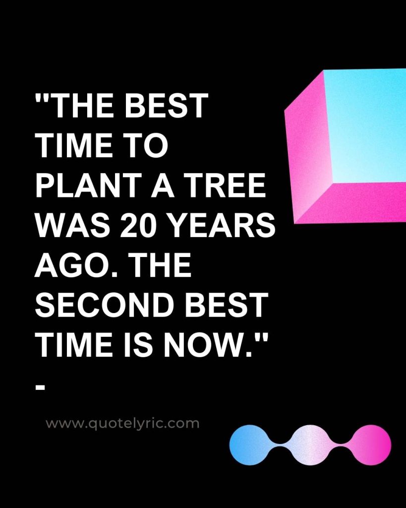 Organization Quotes - "The best time to plant a tree was 20 years ago. The second best time is now." -    www.quotelyric.com