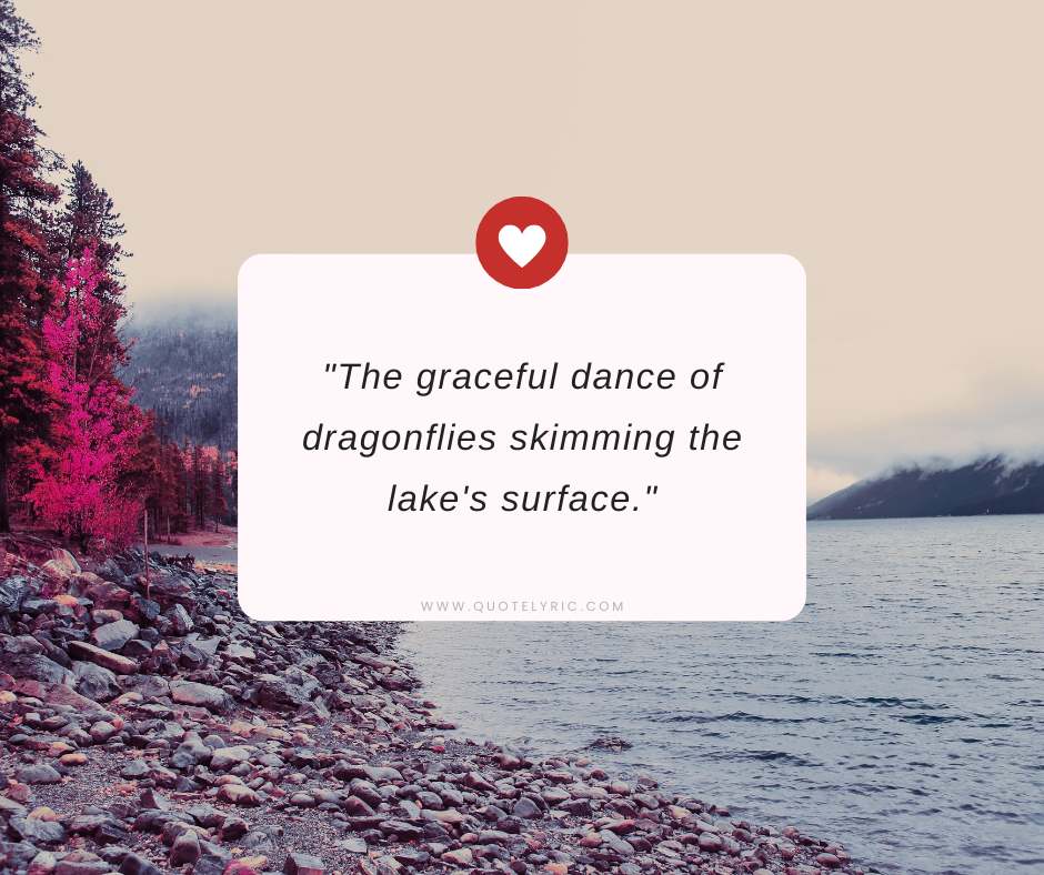 Lake quotes  -  "The graceful dance of dragonflies skimming the lake's surface."   www.quotelyric.com